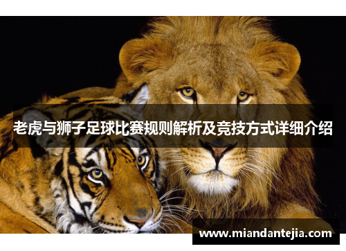 老虎与狮子足球比赛规则解析及竞技方式详细介绍